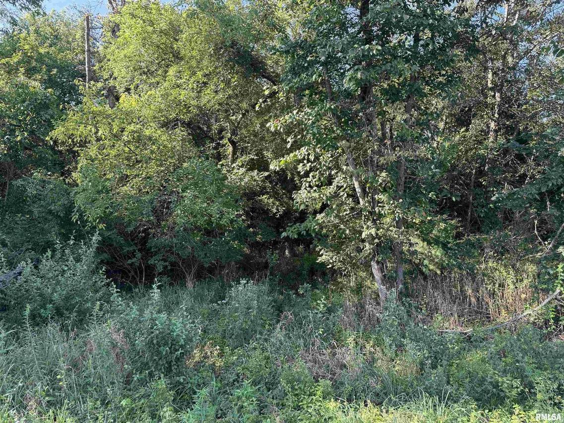 000 Lapis Dr., Clay City, IL 62824