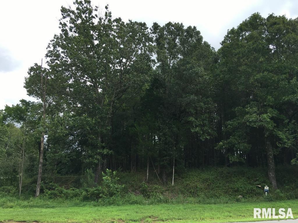 lot 287 Parrish Ridge Ln., Goreville, IL 62972
