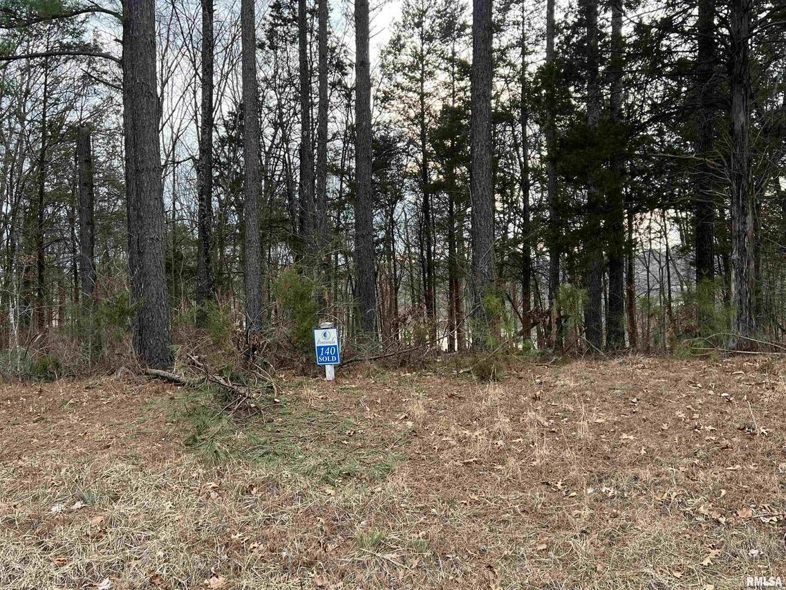 Lot 140 Cherry Point, Goreville, IL 62939