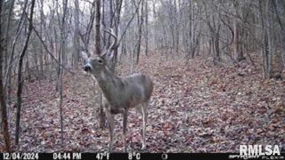 614 Bend Of River Rd., Cave In Rock, IL 62919