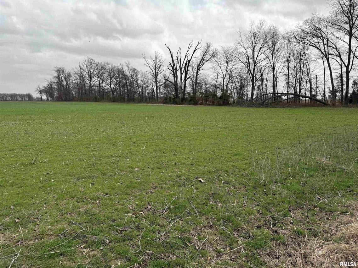 800 E County Rd., Mcleansboro, IL 62859