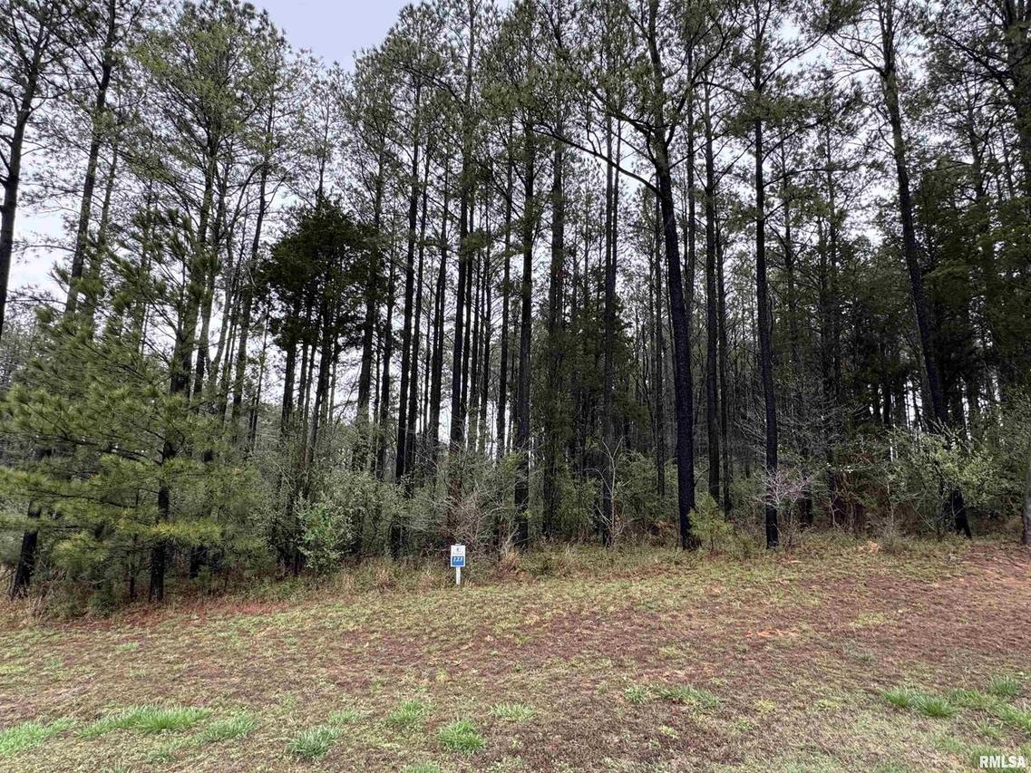 LOT 122&123 Deer Ln., Goreville, IL 62939