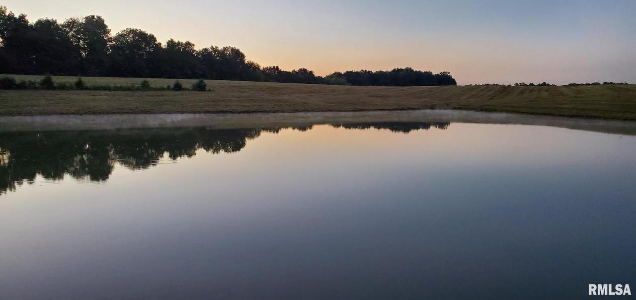 0000 N Flamingo Ln., Scheller, IL 62883