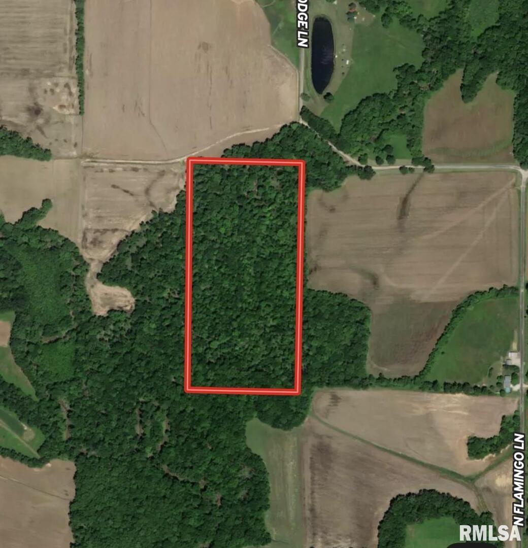 000 E Flagg Rd., Scheller, IL 62883