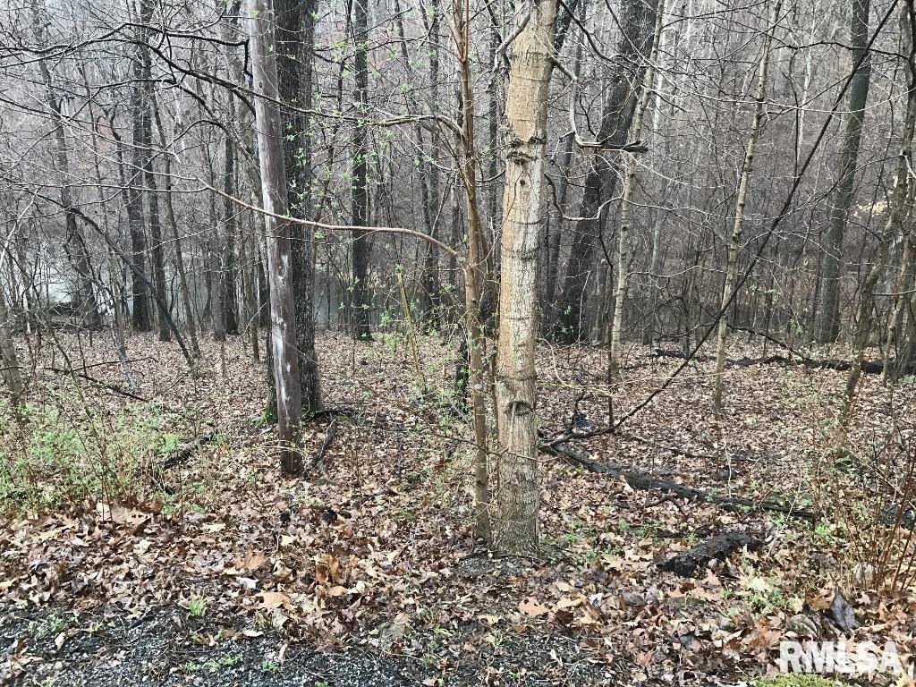 00 Deer Ridge Rd., Goreville, IL 62939