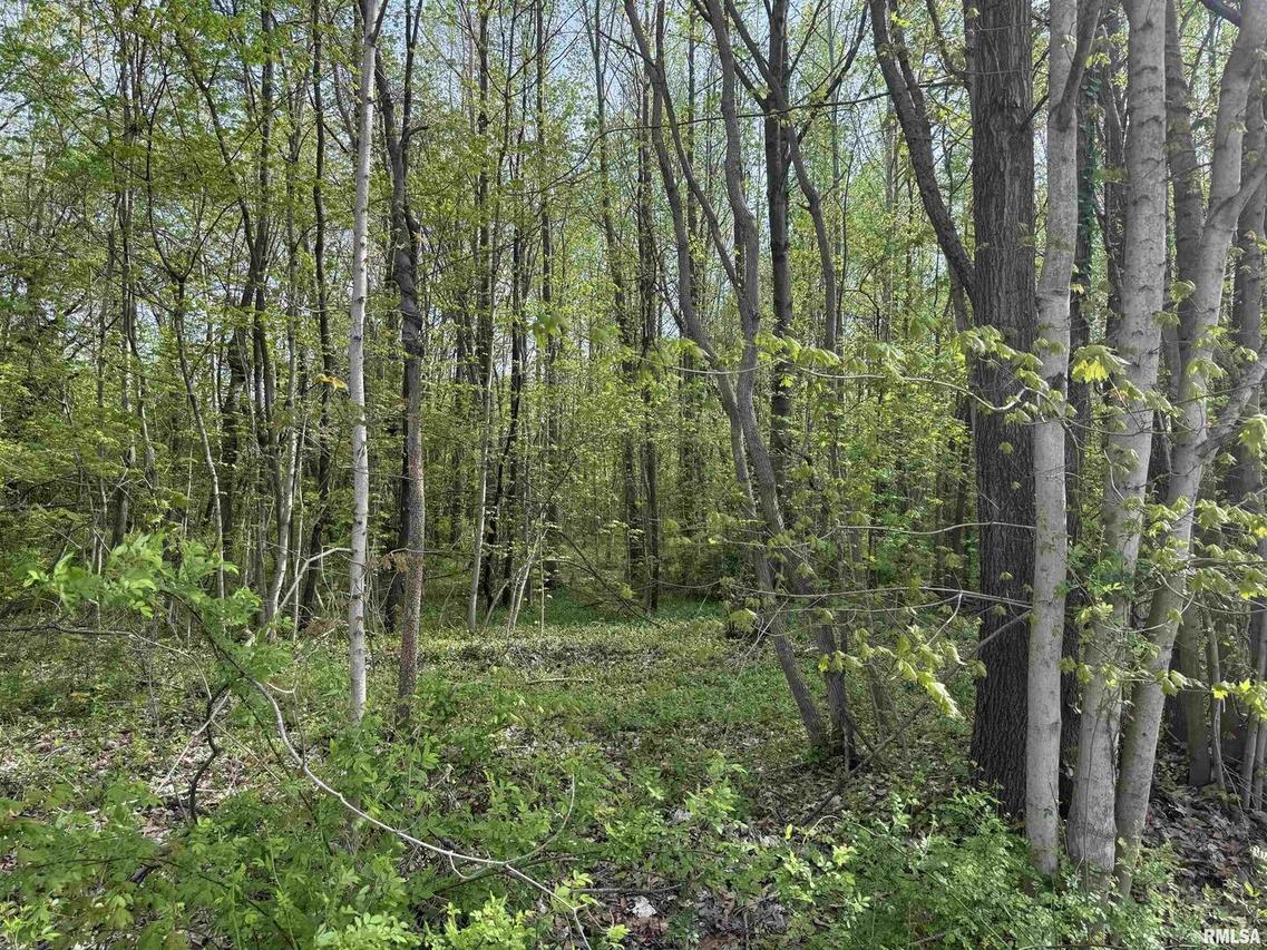 000 Sterling St., Benton, IL 62812