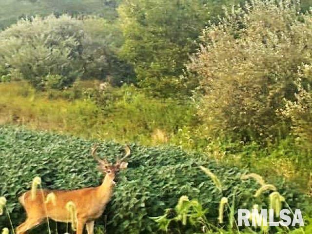 0000 Campbells Corner Rd., Mcleansboro, IL 62859