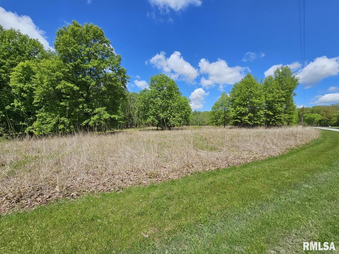 Lot 41 N Deer Park Dr., Dix, IL 62830