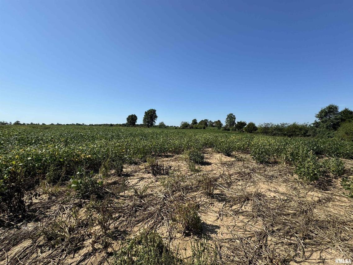 000 N County Road 1375 Rd., Cisne, IL 62823