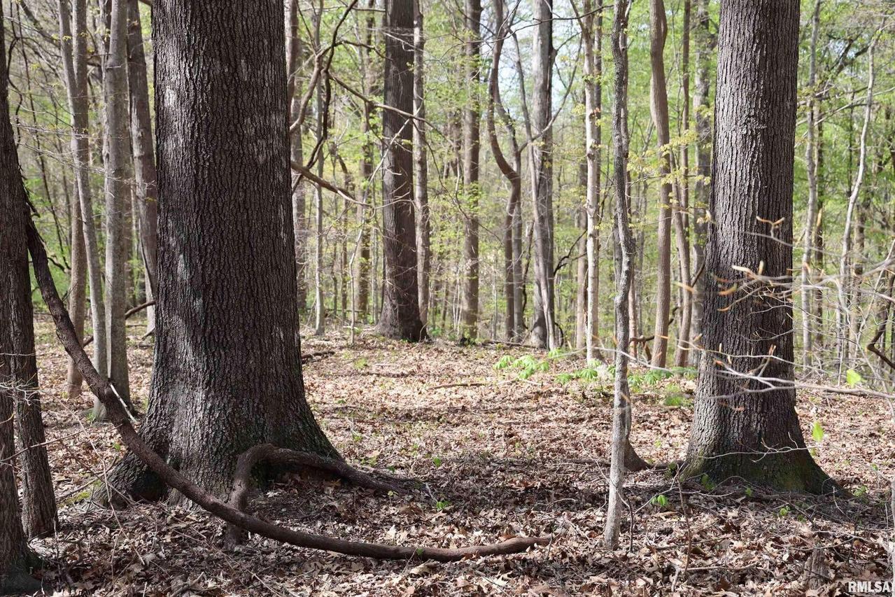 000 Bean Ridge Rd., Thebes, IL 62990