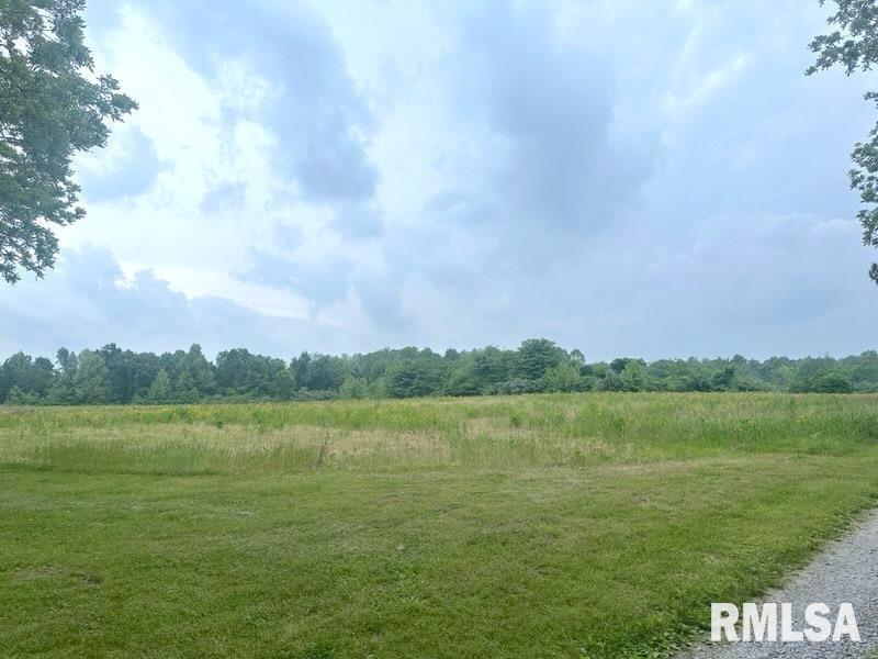 1 Minetree Ln., Carbondale, IL 62903