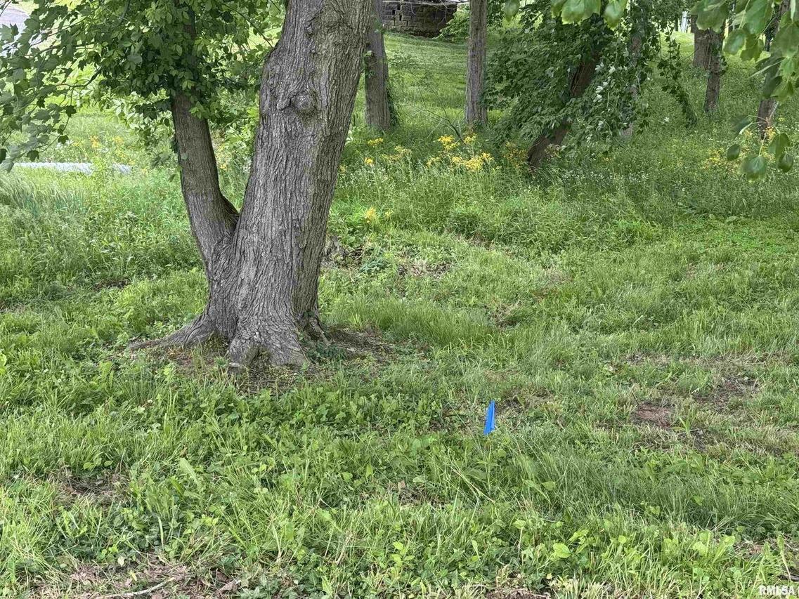 000 W Douglas St., Marion, IL 62959