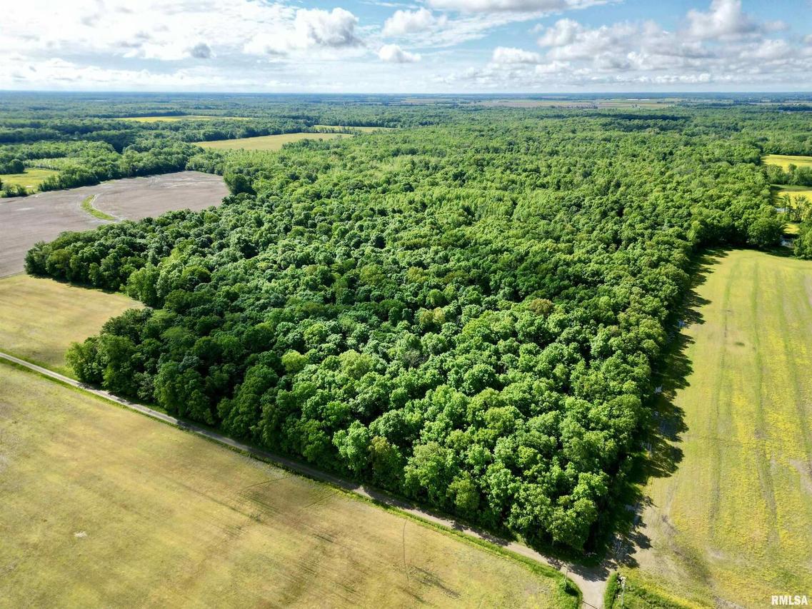 000 Flint Rd., Louisville, IL 62858