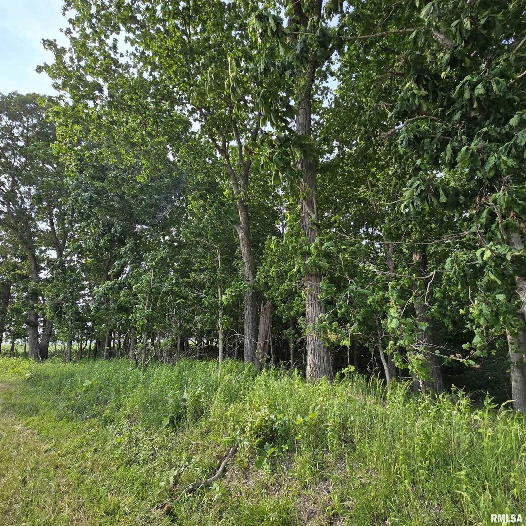 000 Wilson Rd., Kinmundy, IL 62854