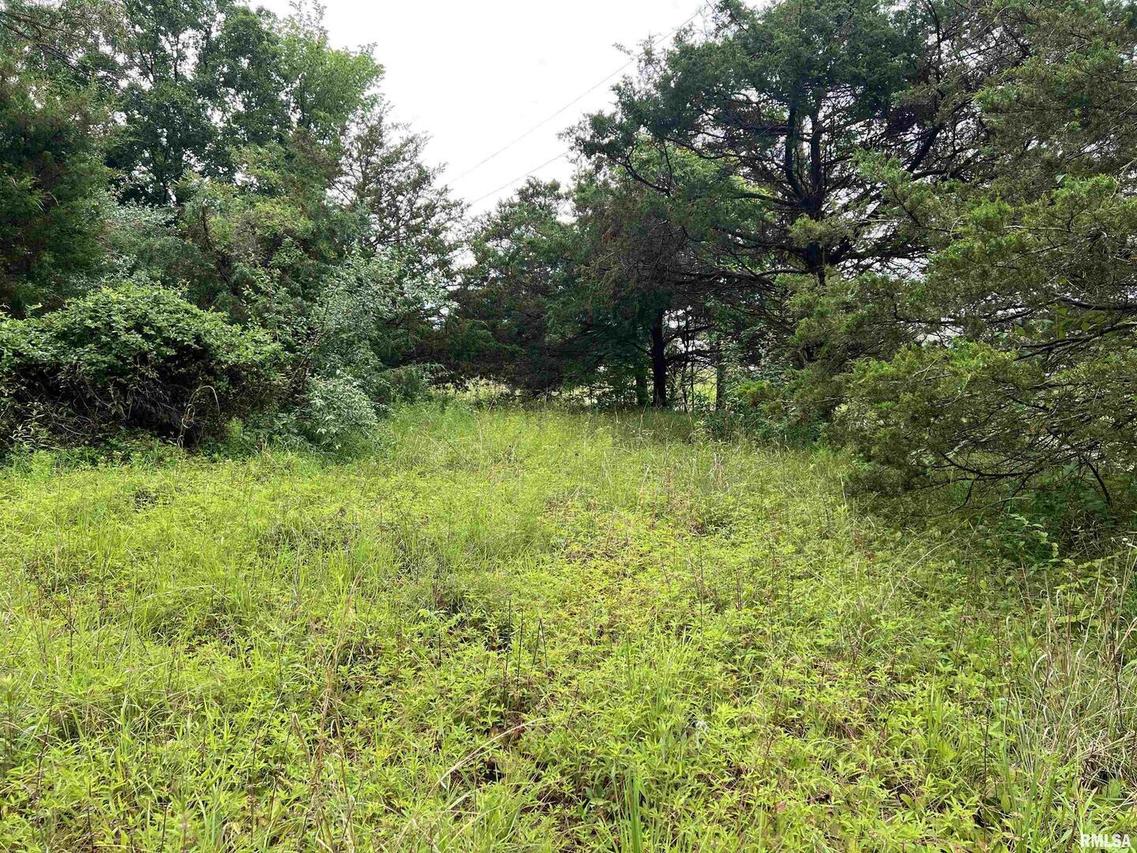 Lot 211 Cherokee Dr., Goreville, IL 62939