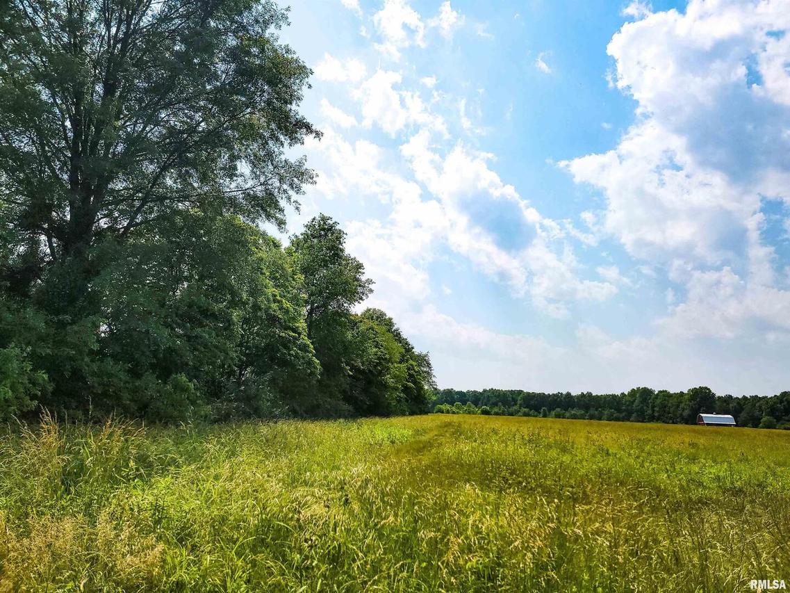 199 Hanging Rock Rd., Flora, IL