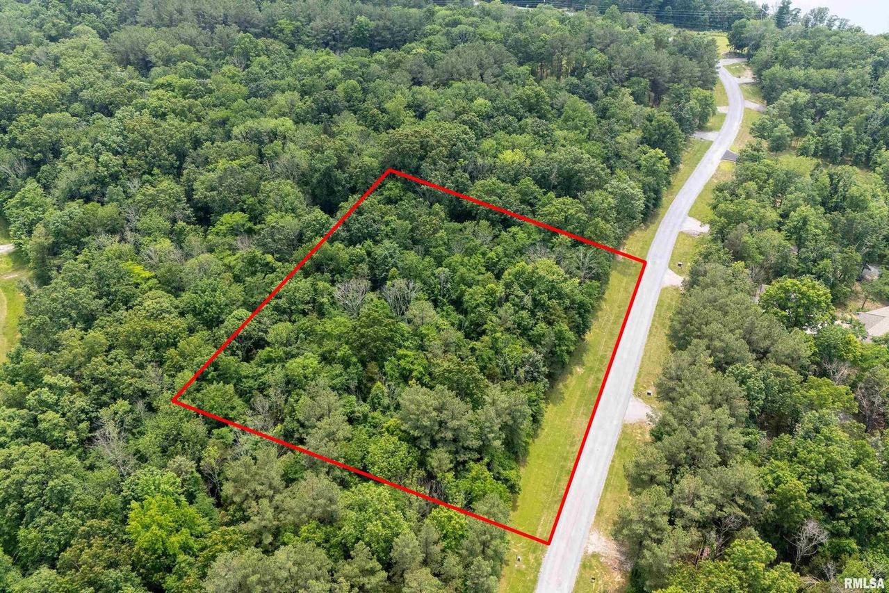 lot 411-412 Parrish Ridge Rd., Goreville, IL 62939