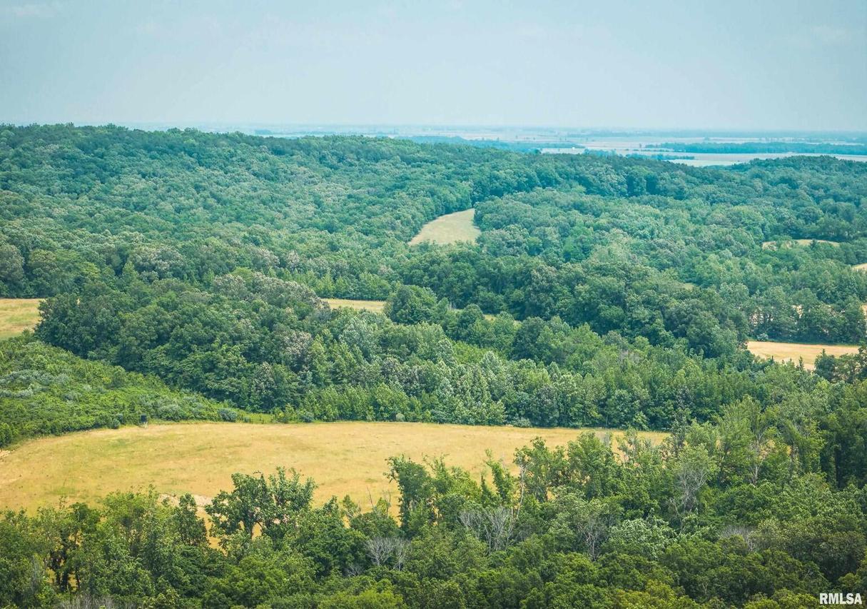 3485 Coyle Ln., Equality, IL 62934