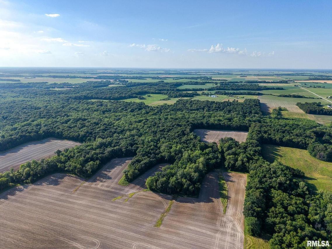 000 Jones Ridge Rd., Alma, IL 62807