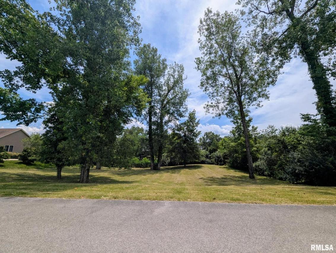 69 David Livingstone Dr., Carterville, IL 62918