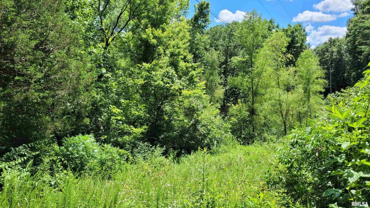 0003 TBD Cross Creek Rd., Cobden, IL 62920