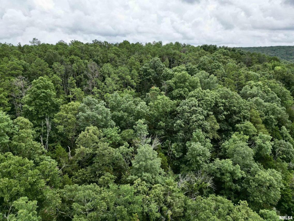 000 Stoneface Rd., Harrisburg, IL 62947