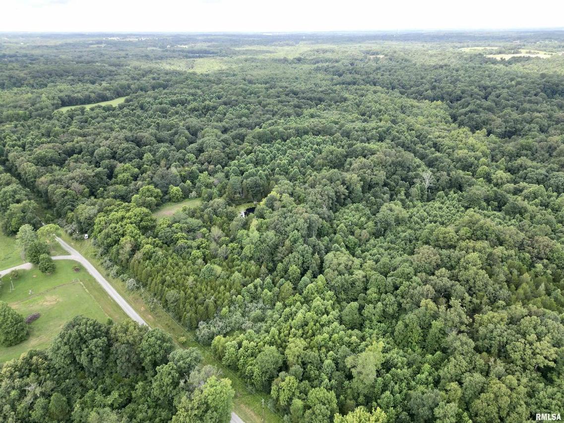 000 Birdwell Church Rd., Creal Springs, IL 62922