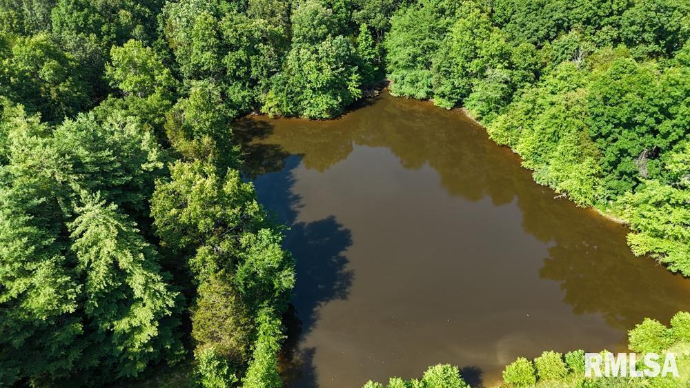 000 Martin Cave Ln., Goreville, IL 62939