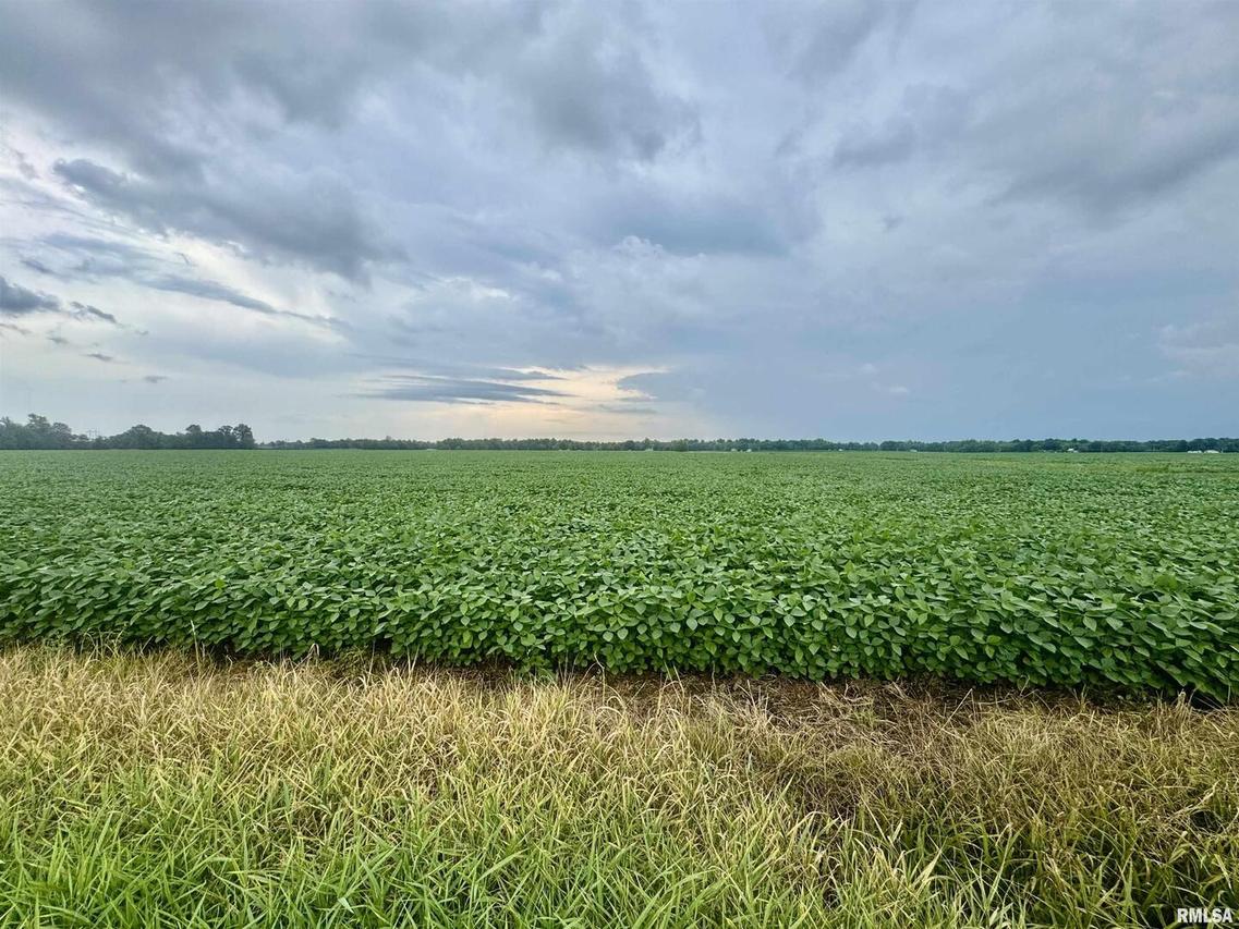 000 W 17th St., Centralia, IL 62801