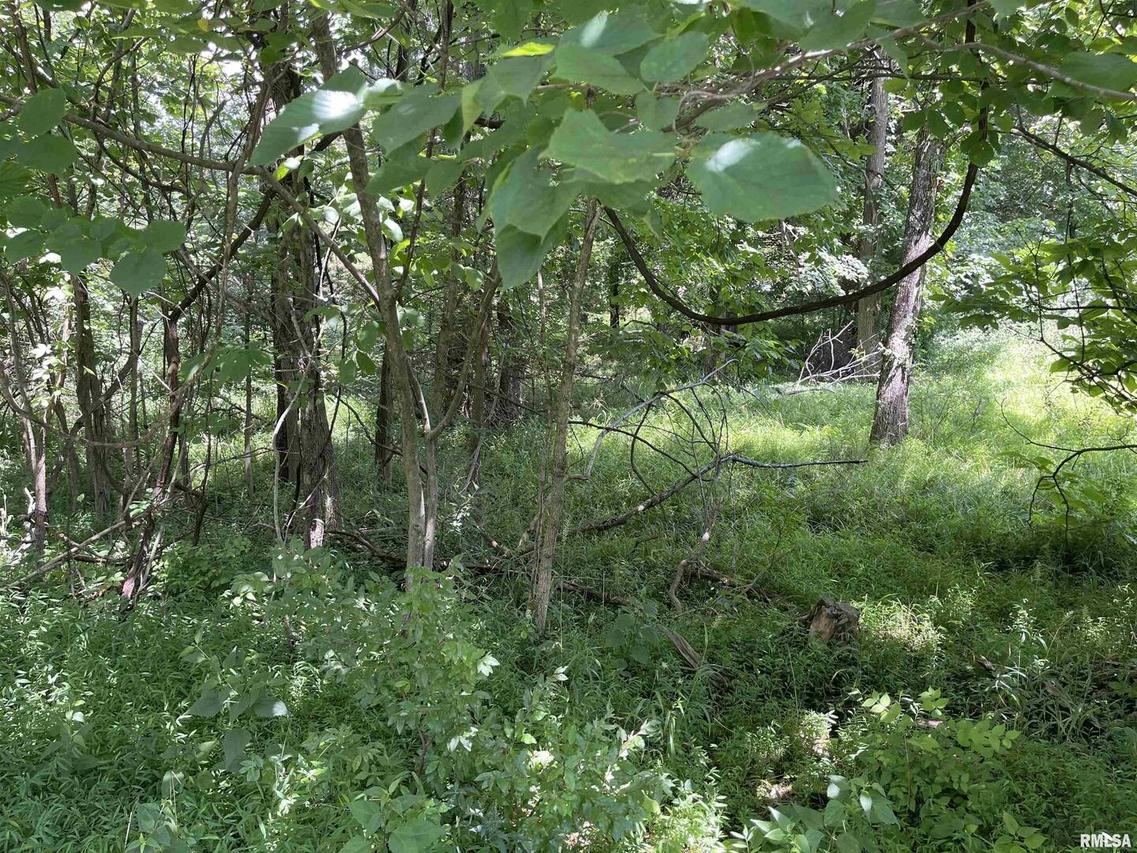 Lot 246 Mark Dr., Goreville, IL 62939