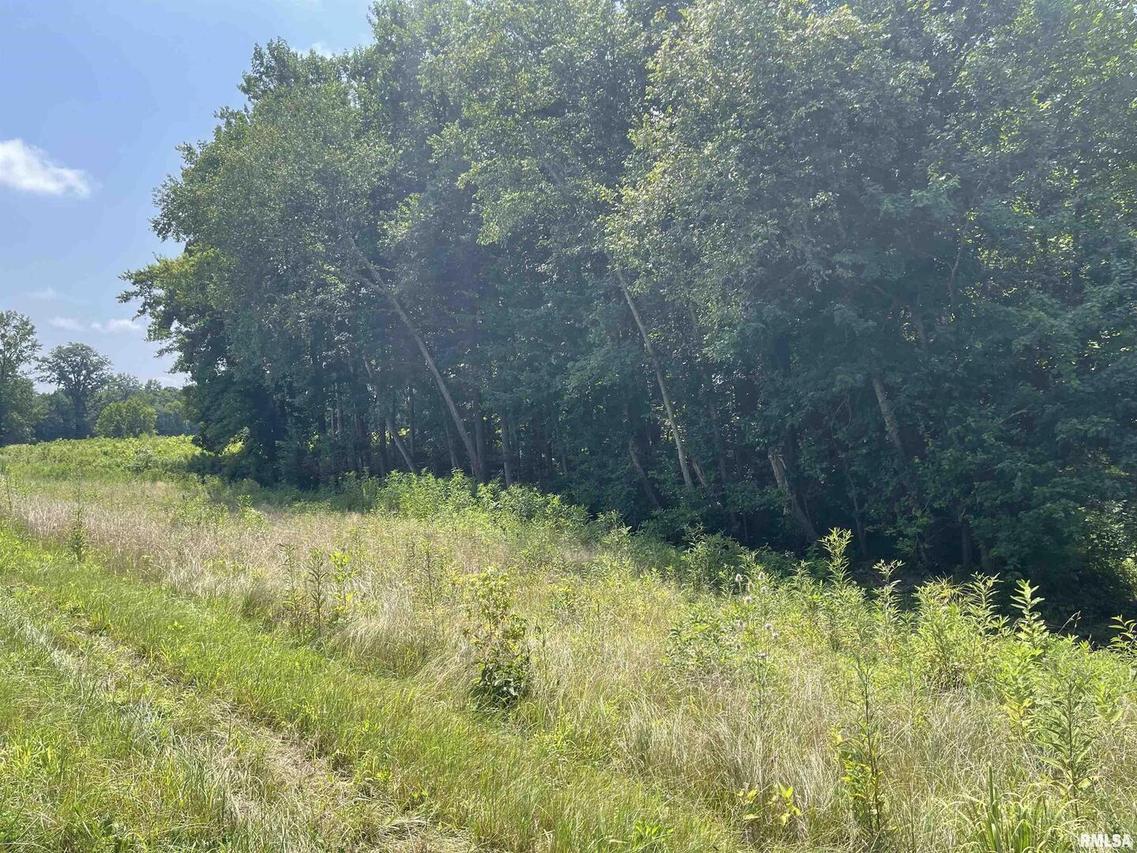 000 State Route 146 W St., Vienna, IL 62995