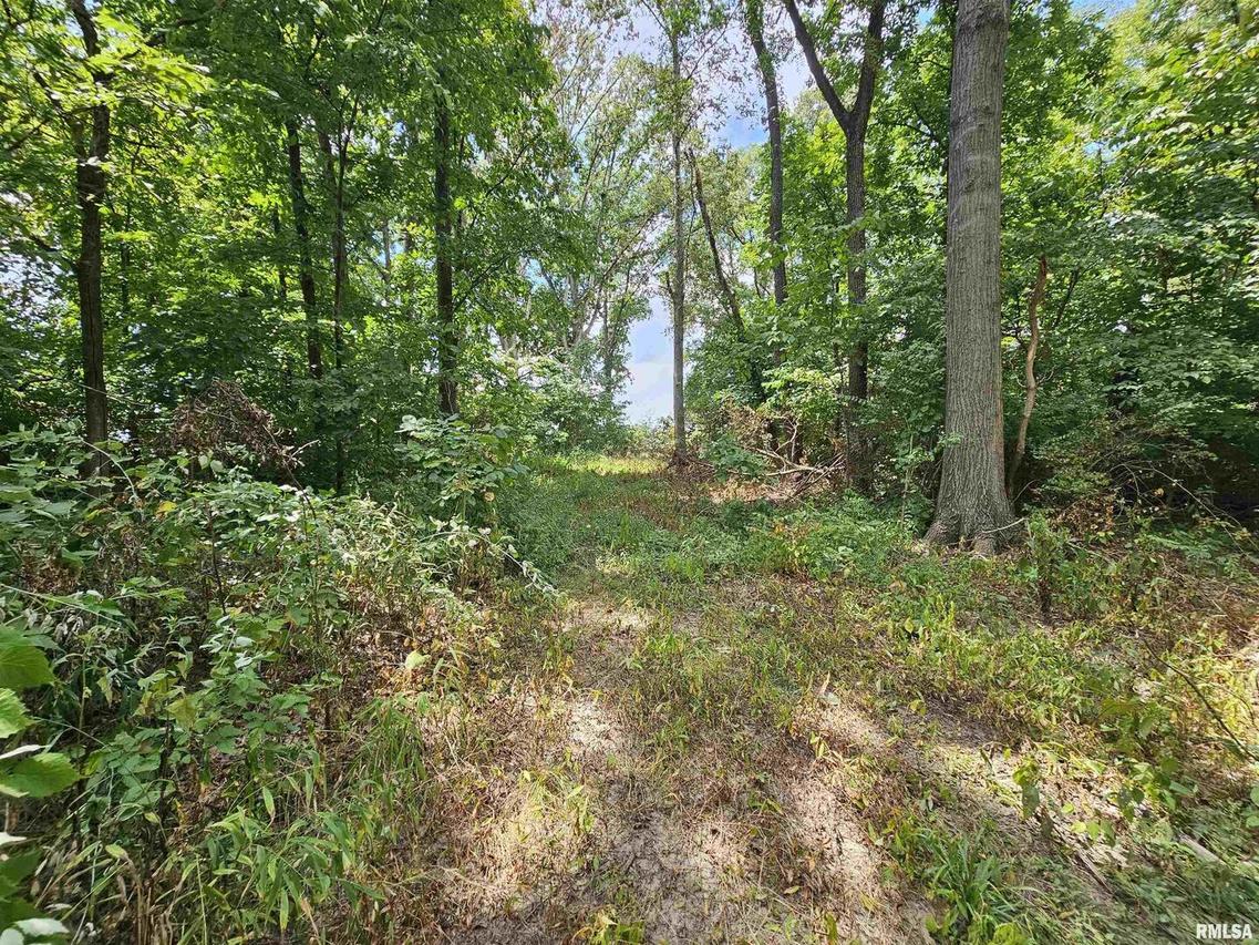 0000 N Cash Ln., Waltonville, IL 62894