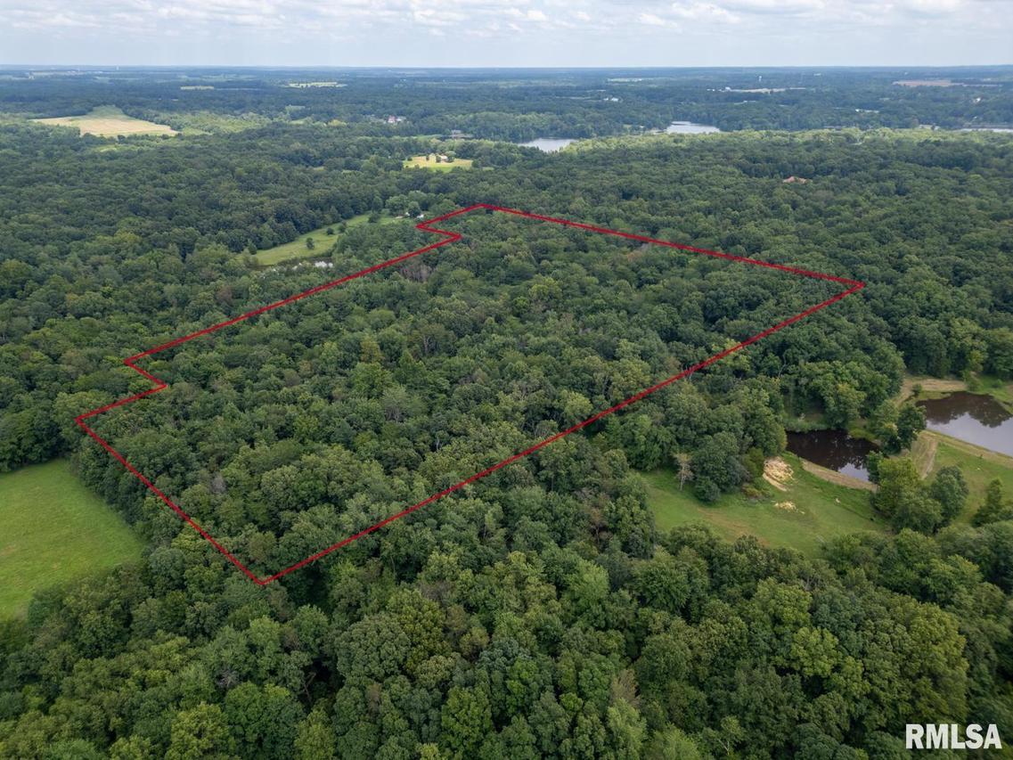 2655 Mcreynolds Ln., West Frankfort, IL 62896