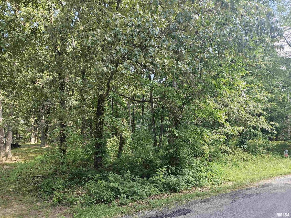 0000 White Birch Ct., Benton, IL 62812