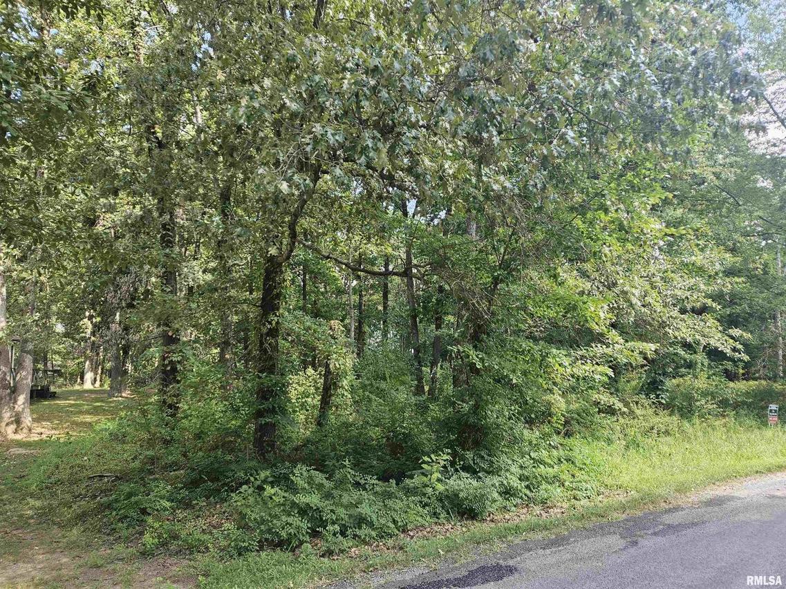 0000 White Birch Ct., Benton, IL 62812