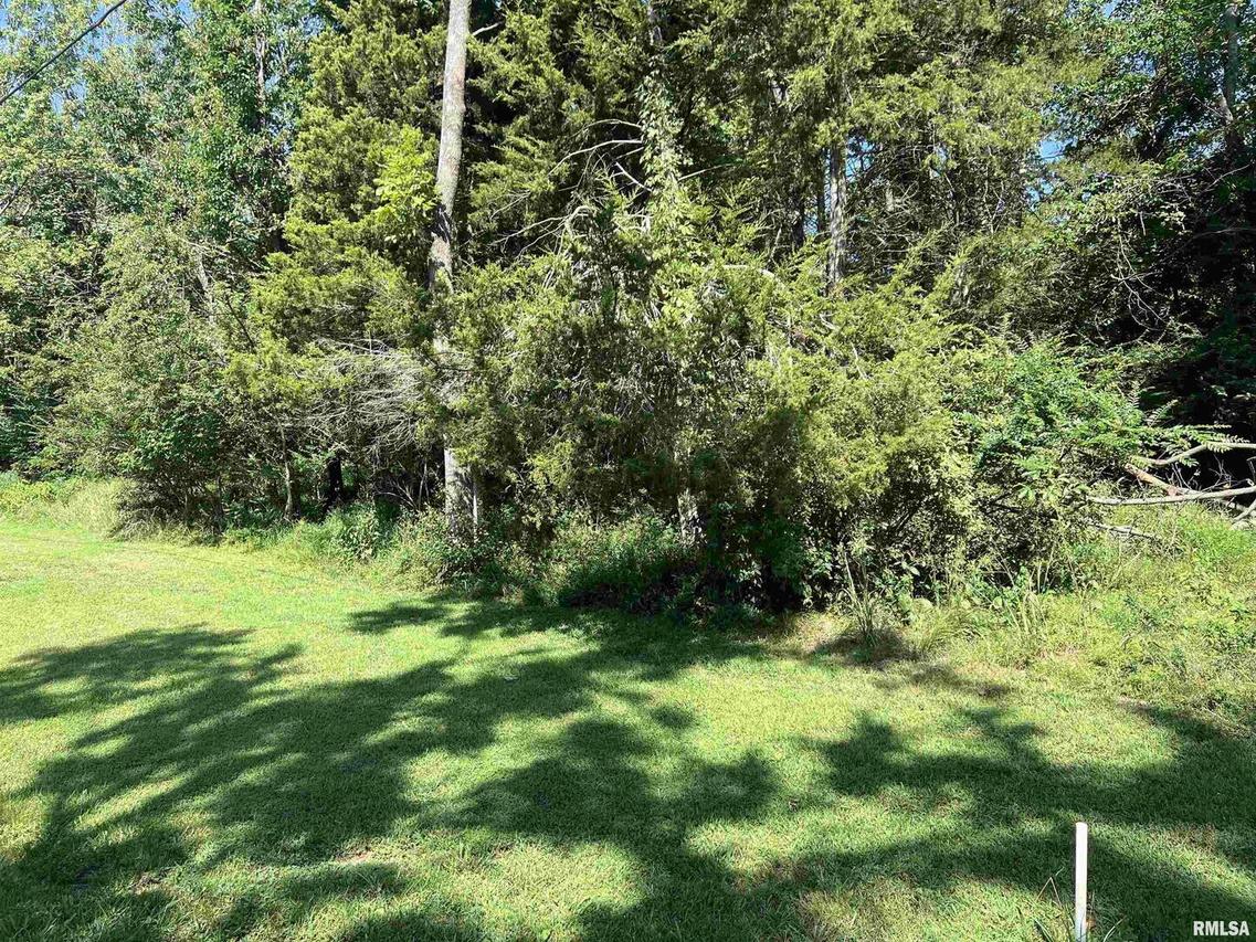 000 Thebes Way, Creal Springs, IL 62922