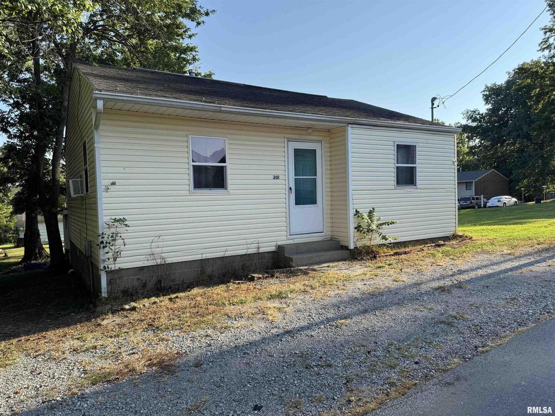 301 Lewis St., Vienna, IL