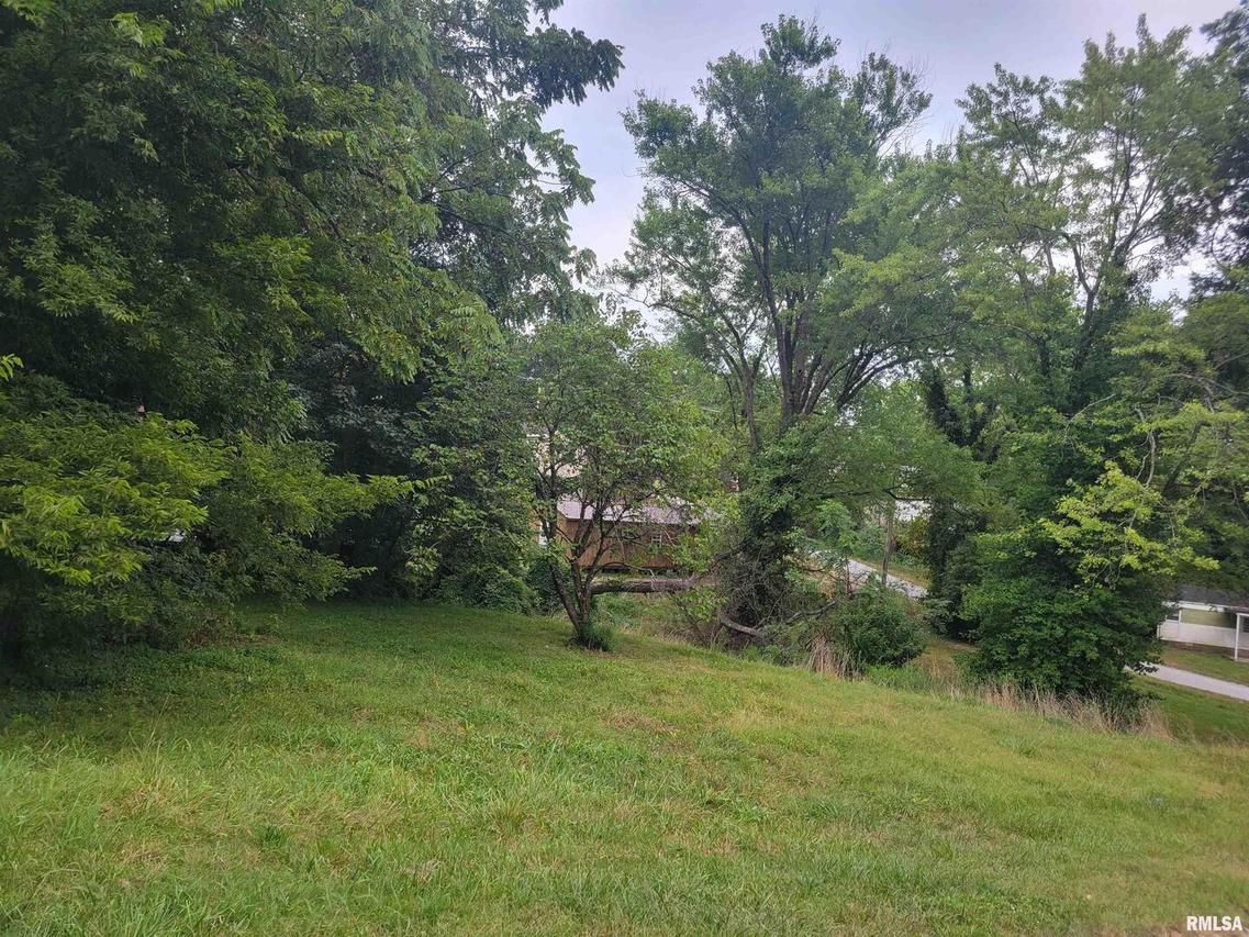 TBD J St., Jonesboro, IL 62952