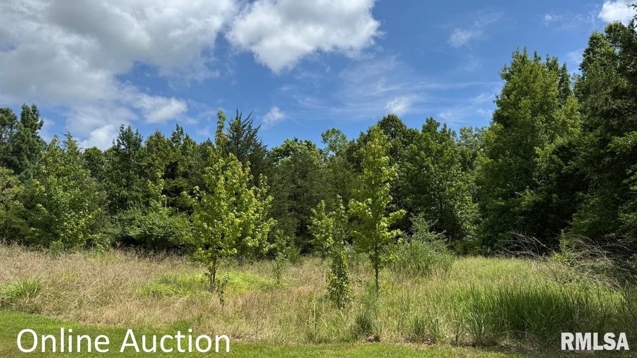 000 E Campus Dr., Carbondale, IL 62901