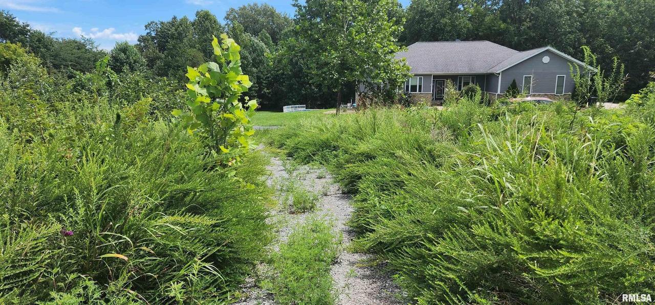 85 Maggie Ln., Makanda, IL 62958