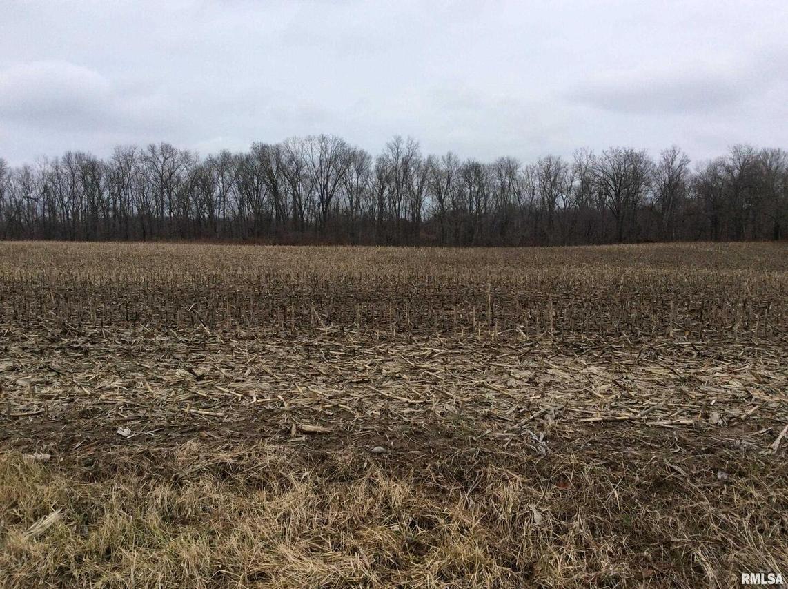 0000 N Kell Rd., Kell, IL 62853