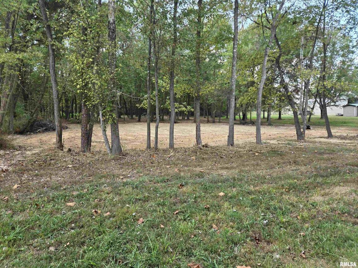 Lot 4 Norman Rd., Marion, IL 62959