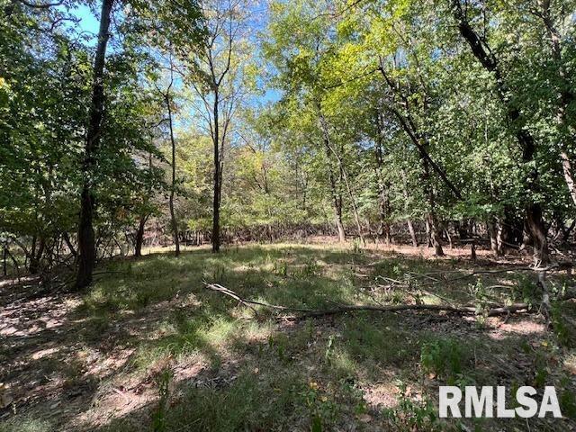 000 Barnett St., Carterville, IL 62918