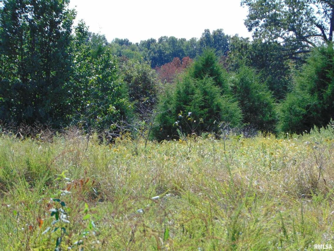 47 Wilkins Rd., Harrisburg, IL 62946