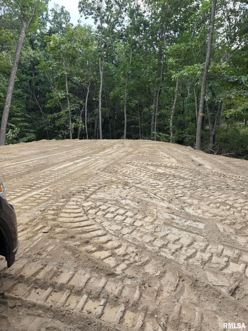 16154 N Hickory Ln., Woodlawn, IL 62898