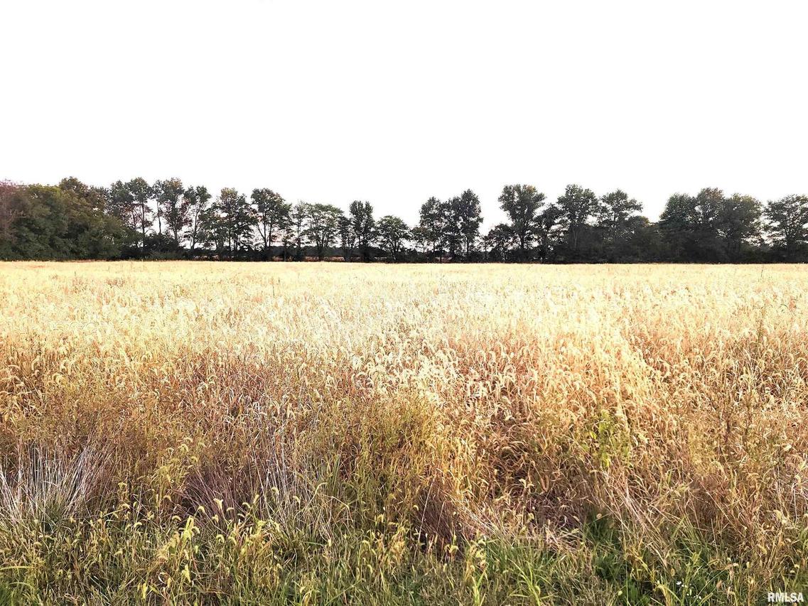 1682 E Coon Creek Rd., Flora, IL 62839