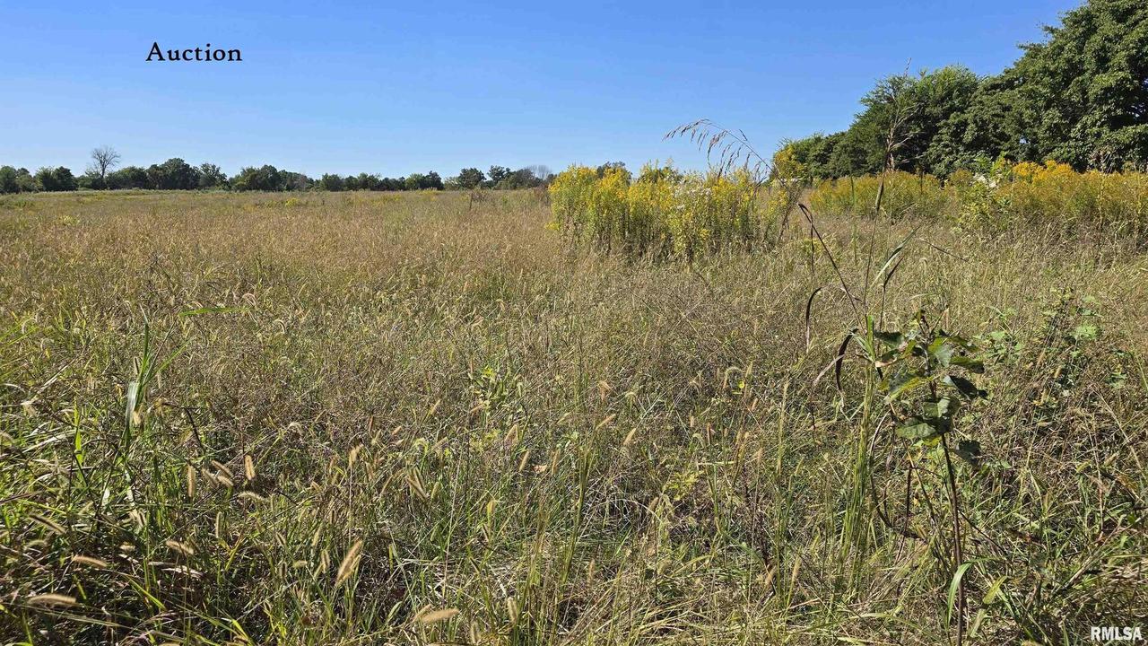 Mount Pisgah Rd., Buncombe, IL 62912