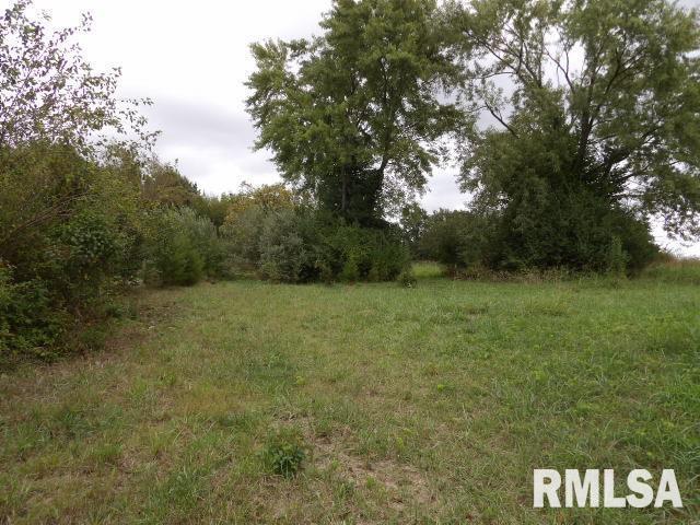 ooo Moore St., Eldorado, IL 62930