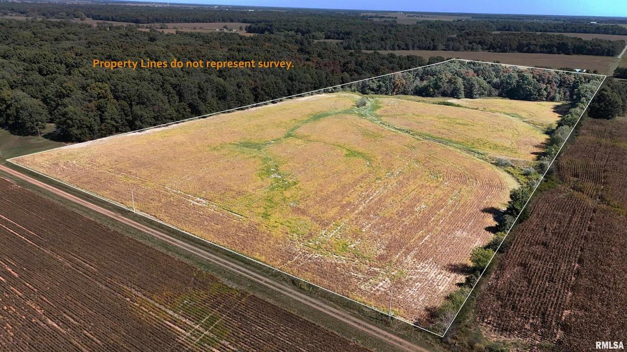 000 E Tallowtree Dr., Xenia, IL 62899