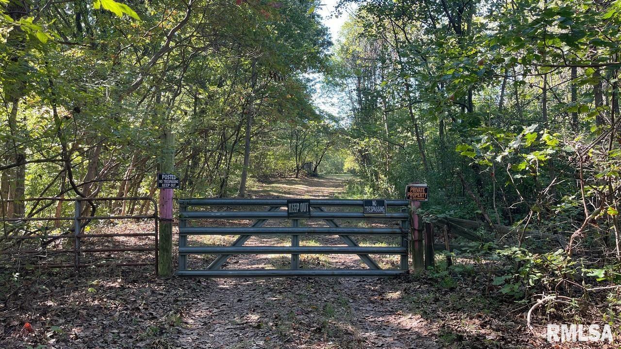 0000 Forest Rd., Ava, IL 62907